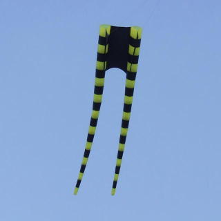 Deep Pocket Sled kite  in flight