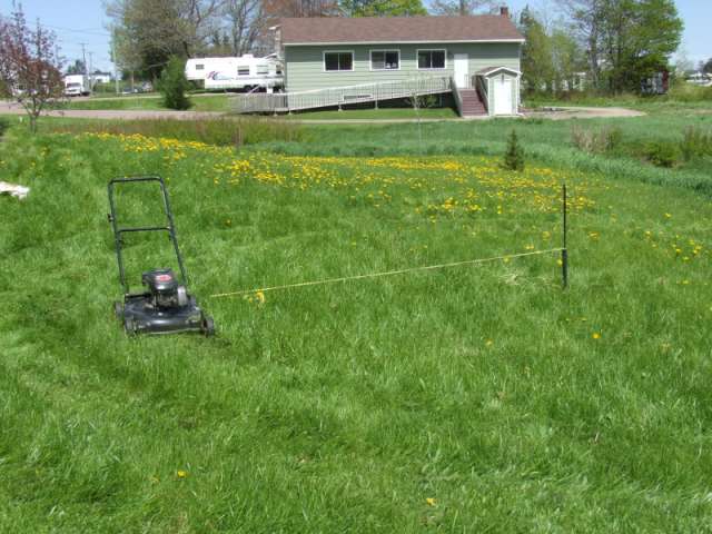 photo of the lawn mower tethered to a stake